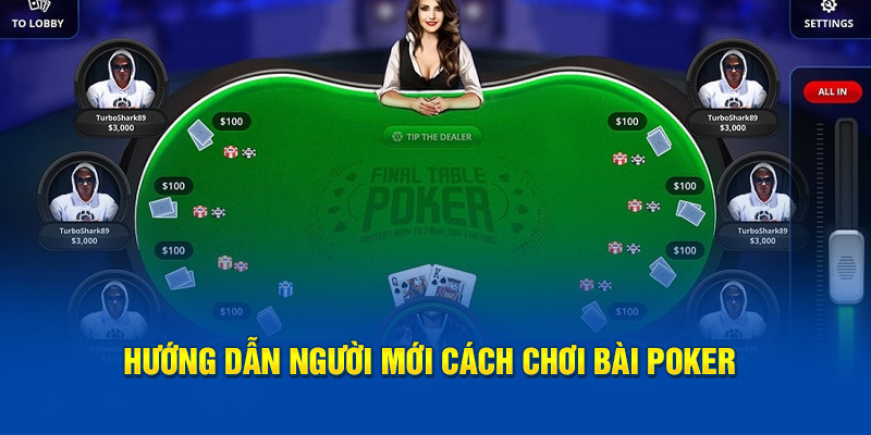 Hướng dẫn người mới cách chơi bài poker 