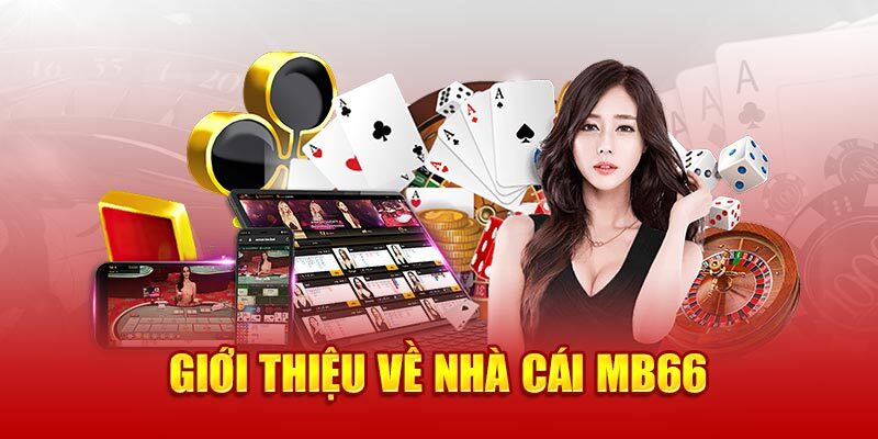 Đôi nét giới thiệu về MB66